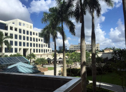 "Boca Raton - Marriott - View From Room" by jared422_80 is licensed under CC BY 2.0. To view a copy of this license, visit https://creativecommons.org/licenses/by/2.0/?ref=openverse.