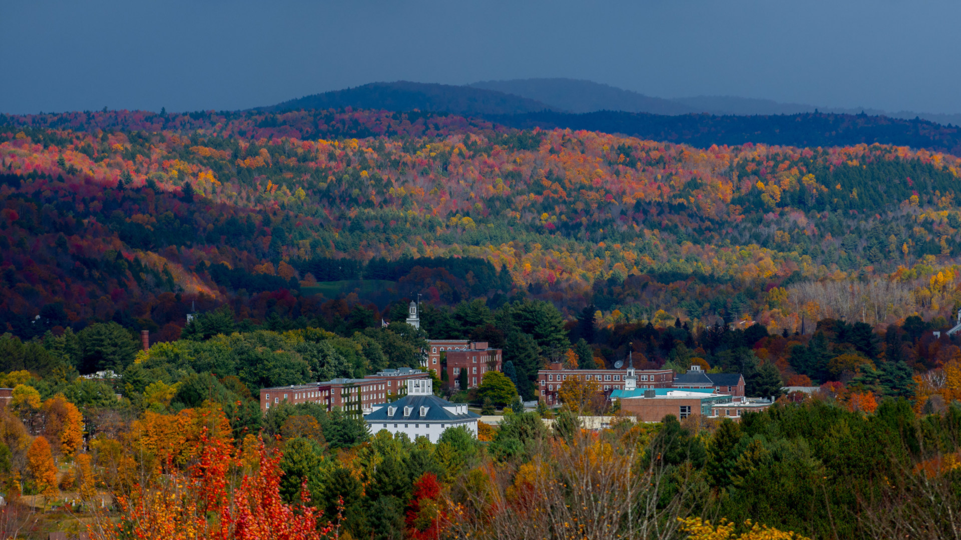 Fall Color Campus Overhead