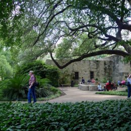 A man at left in cap, flannel-type shirt and jeans walks among greenery near a building at the Alamo. This photo, "The Alamo" by Tony in WA, is licensed under CC BY-SA 2.0.