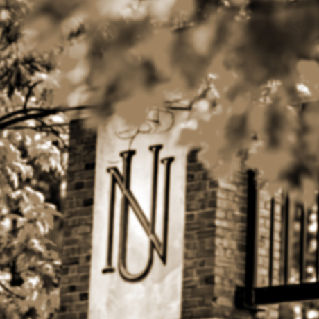 NU logo on gate