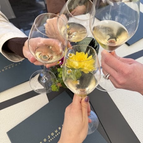 Four individuals holding wine glasses clink them together.