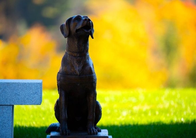 Fin, therapy dog, at Norwich University PTS memorial statue